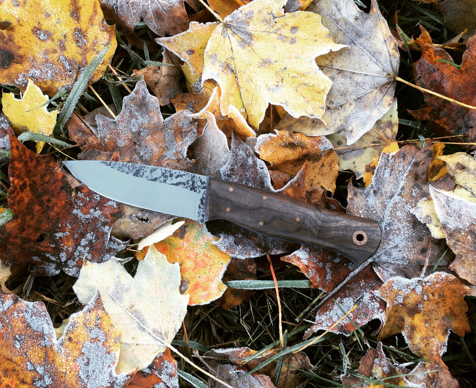 37EC51C4-6CBA-4CBA-9A8E-43692FC52495