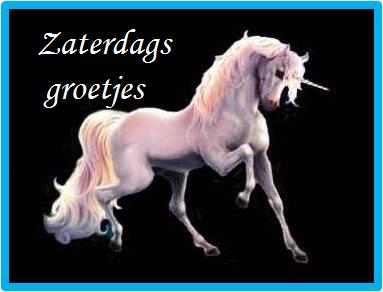 zaterdag-5.jpg