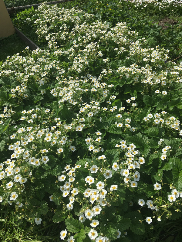 36C09663-EE4F-4AE9-B7FD-8593C206DADE