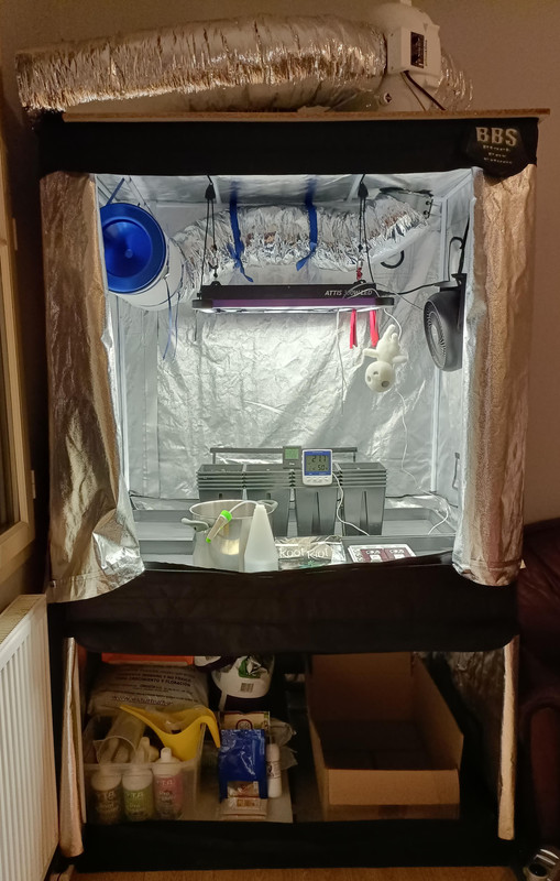 C-00-01-20220109-cleaned.jpg
