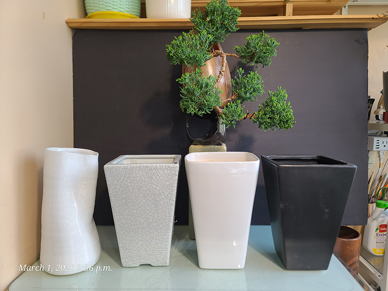 [Image: 20260301-143657.jpg]