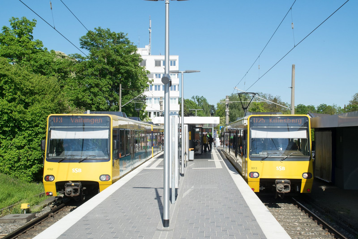 [Bild: 20250510-DSC-0862.jpg]