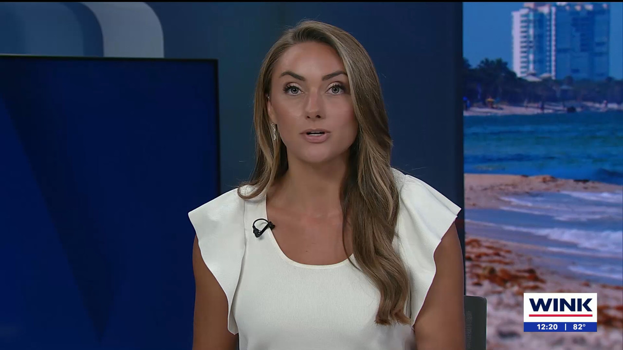 04.17 - 17.00.01 - The WINK Noon News  ᴺᵉʷ. Midday news update..ts_snapshot_26.43.691