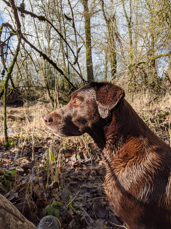 IMG_20200116_133850