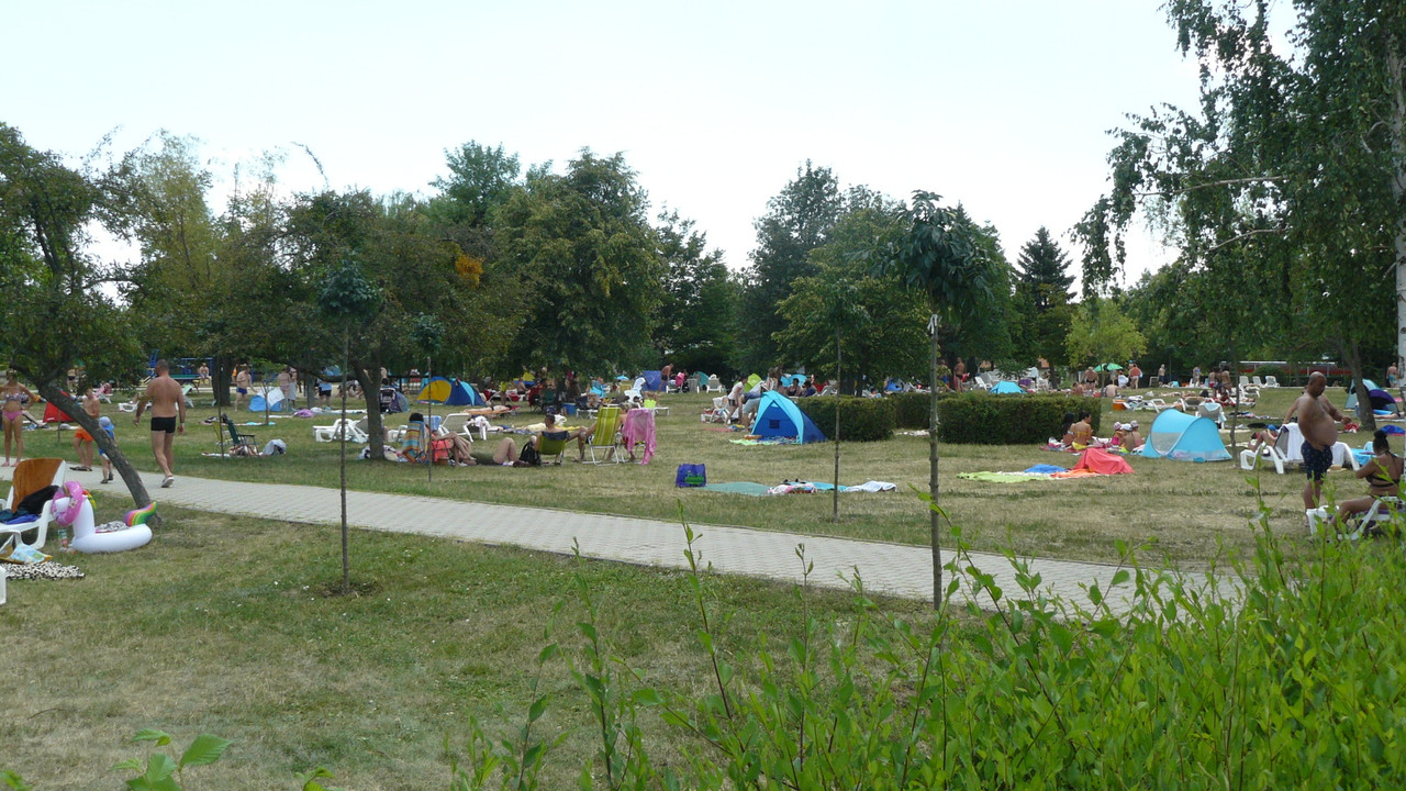 [Obrazek: 080dff3dd53ae245.jpg]