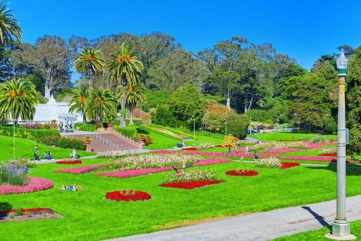 San Francisco Botanical Plant  A World of Plants
