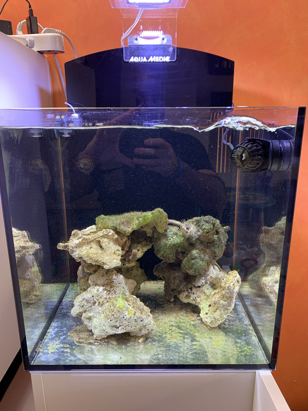 EA4A0F21-B724-44F1-9BF0-A020F50D2968