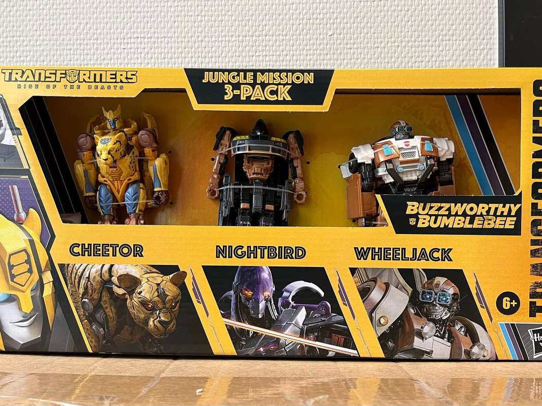 346842747_196304789497630_2404569224713734566_n