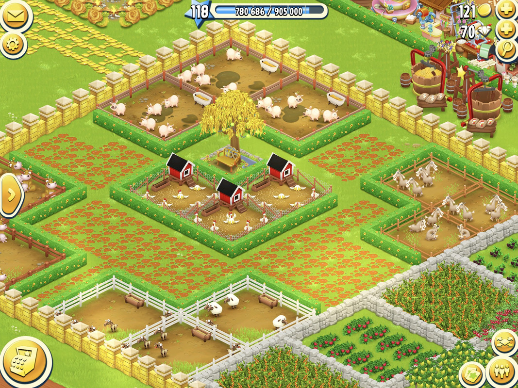 z2693332907463_a93b5a04adda6bc7d5a8d498440bdb00