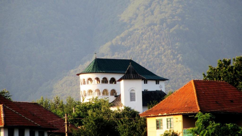 Slika