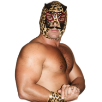 Cheetah-Kid-SM.png