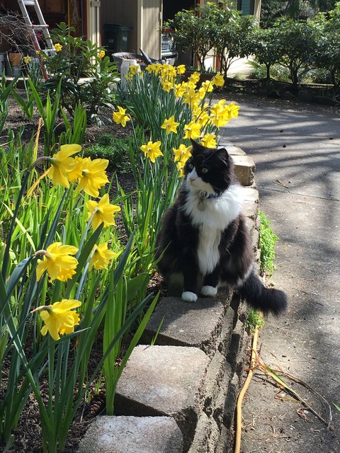 B937D90F-554D-4C6D-8EC5-AA293FBCA1DD