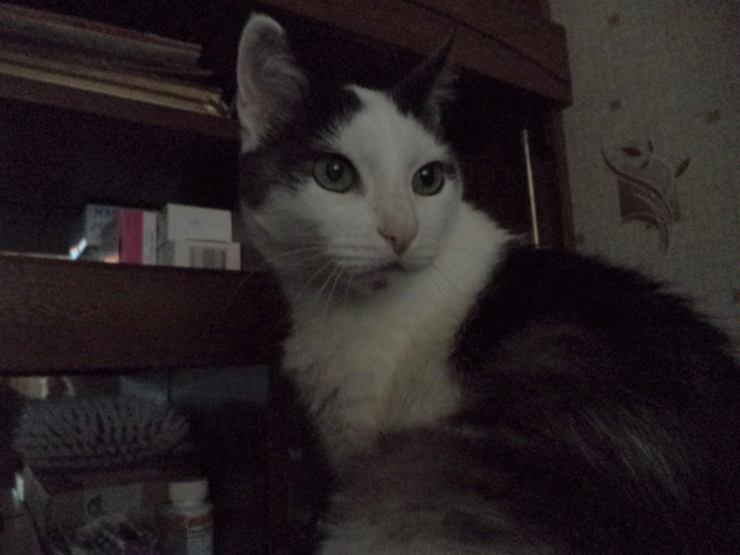 2-min разместил