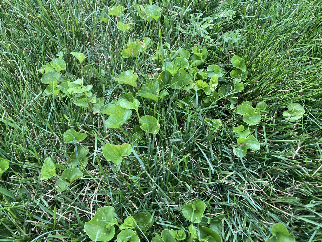 365B3B34-ECF9-47D3-8F4A-882D6FBE363A