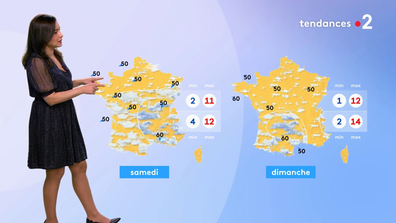 2021-02-25_20_35_Fr2_Meteo.mp4_snapshot_10.00.474
