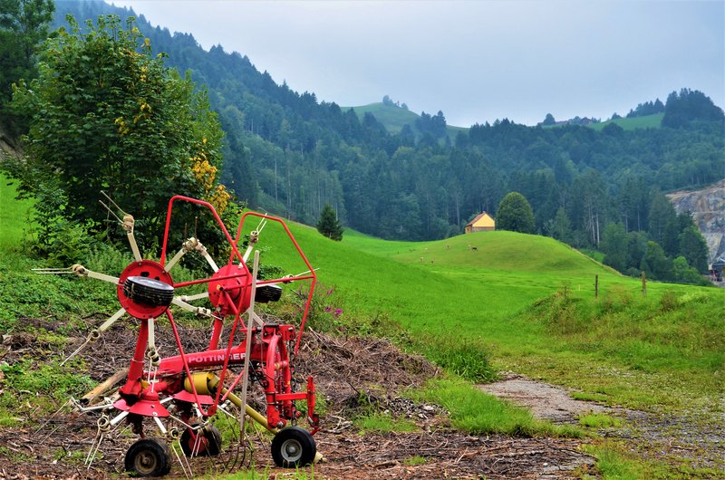APPENZELL-6-9-2019 - Suiza y sus pueblos-2019 (17)