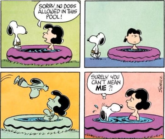 lucy-doesn-t-want-snoopy-in-the-pool