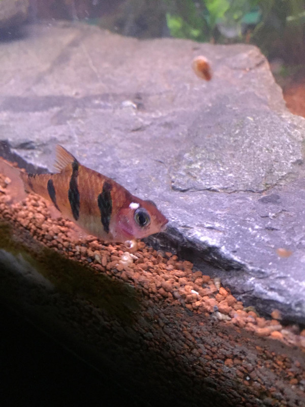 DE2B6EEF-80F3-46B0-AC19-EFDBFDCD4221