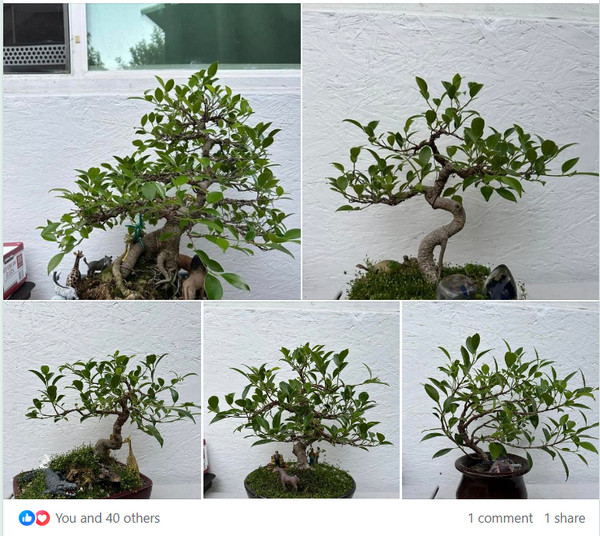 [Image: 2024-07-06-085232.jpg]