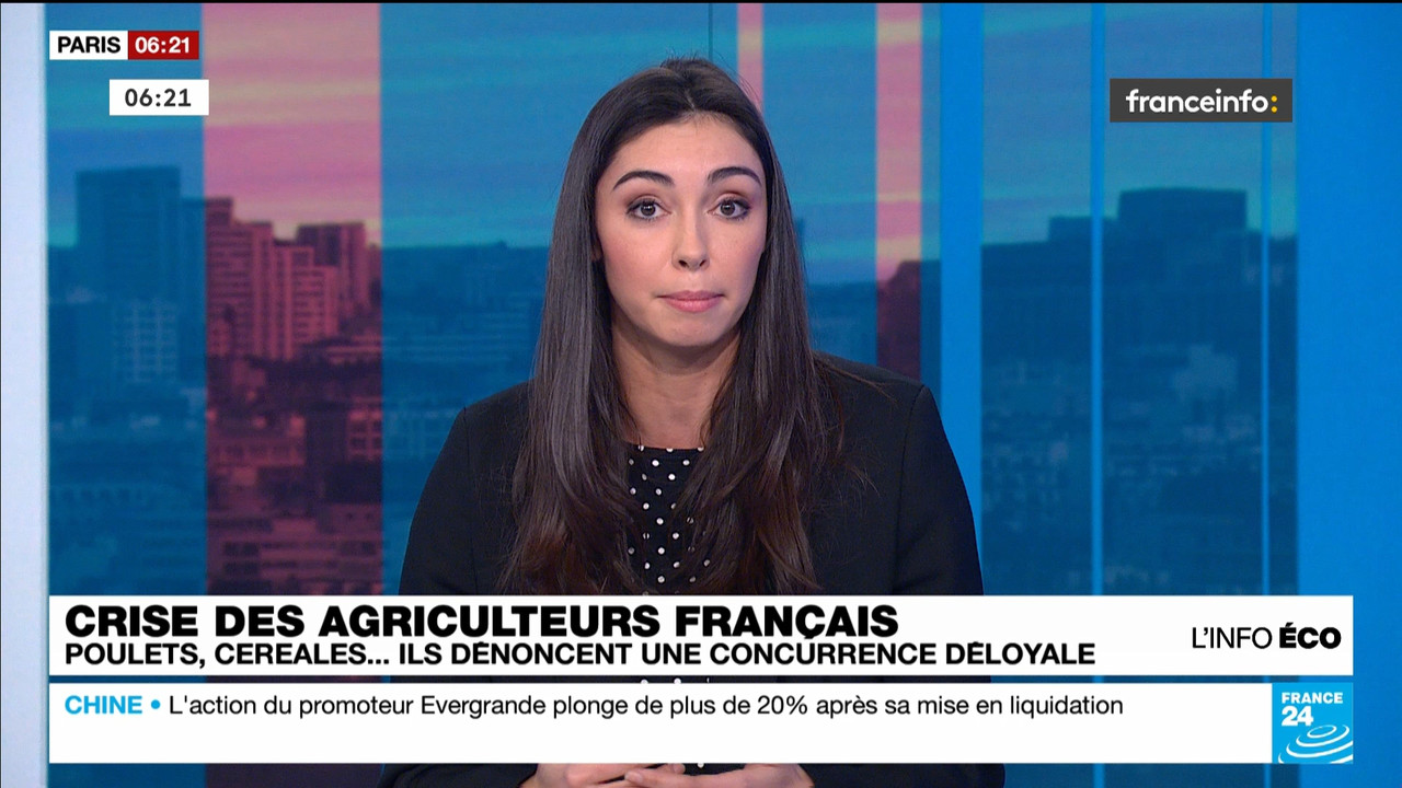 France 24 (Franceinfo)_2024_01_29_03_55_46.ts_snapshot_01.26.05.028