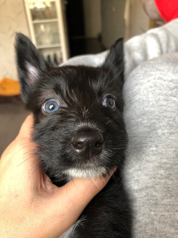 406608BB-3709-4C3D-AAB3-39AB541FFA26