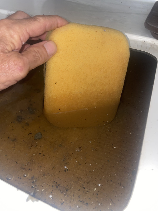 43B03B41-ECF0-4DBD-8505-8913944B8943