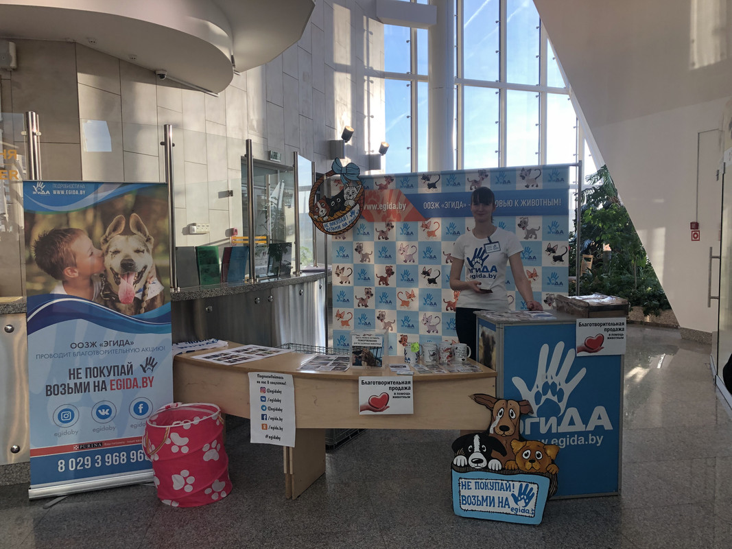 F20C2207-49A6-4BEA-BAA7-FB437D618148