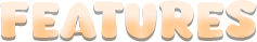 features.png