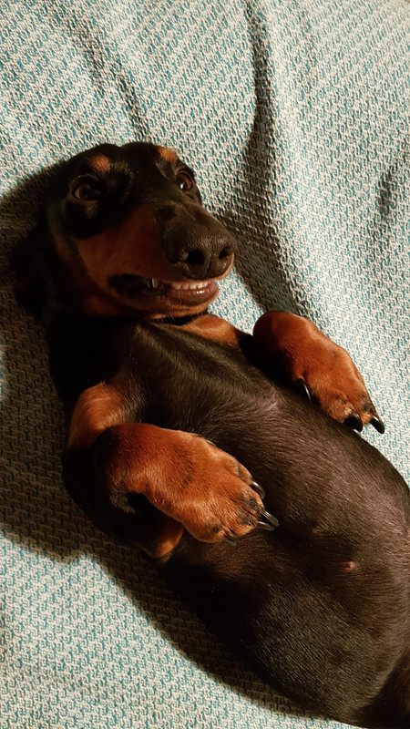 [Image: 20201230-224719.jpg]