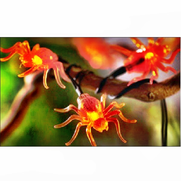 Solar String Light : 80480