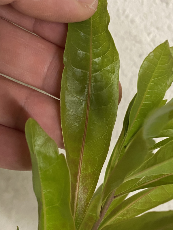 10D42C34-669C-4588-9BB1-83A5D3E6A5E9