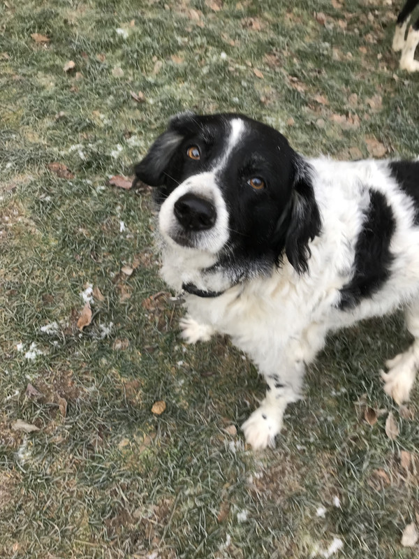 C273A93E-A932-4597-9031-134D057BA05A