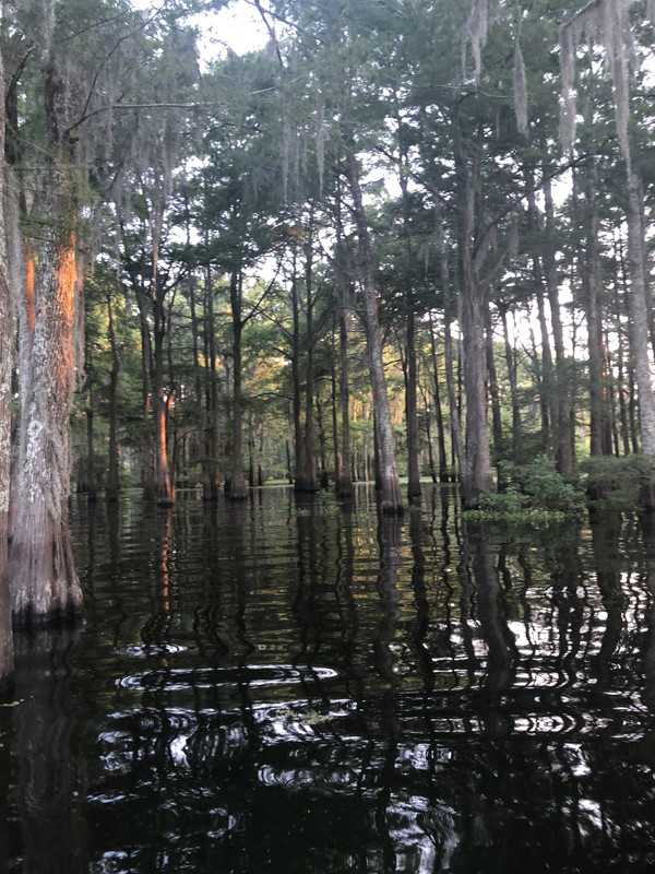 72F6C8B3-AF88-448B-8625-1369B121D518