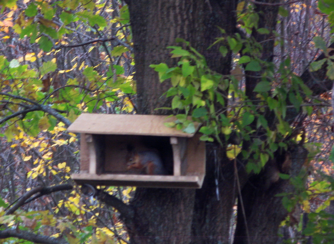 IMG-1091.jpg
