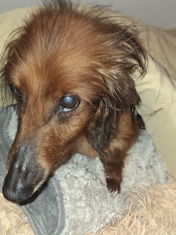 [Image: 20240327-204520.jpg]