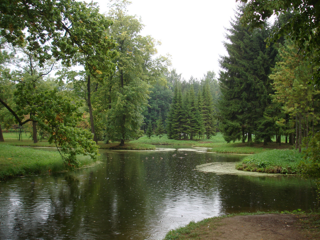 San Petersburgo - SAN PETERSBURGO Y MOSCU PARA CAMINANTES (11)