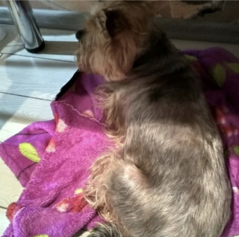 00D5AE42-9844-463E-B9EE-E0AEC23BE5E4