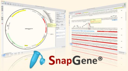 SnapGene 5.2.3 Multilingual