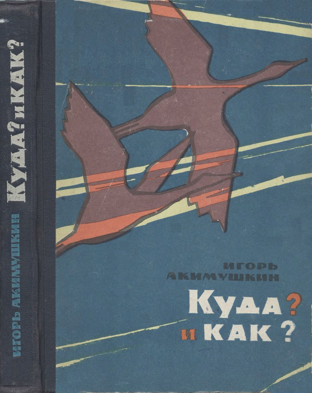 1-p0001