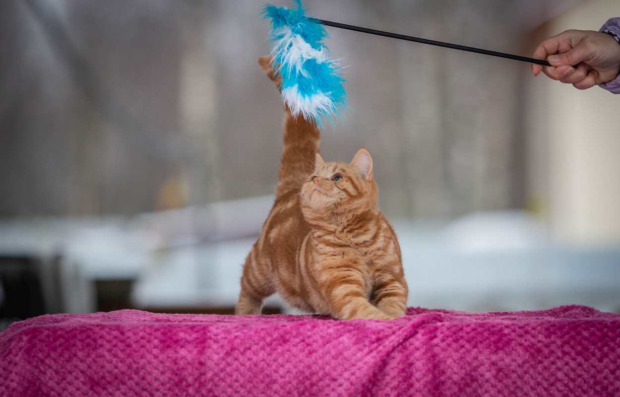 --------------. (1 из 1)