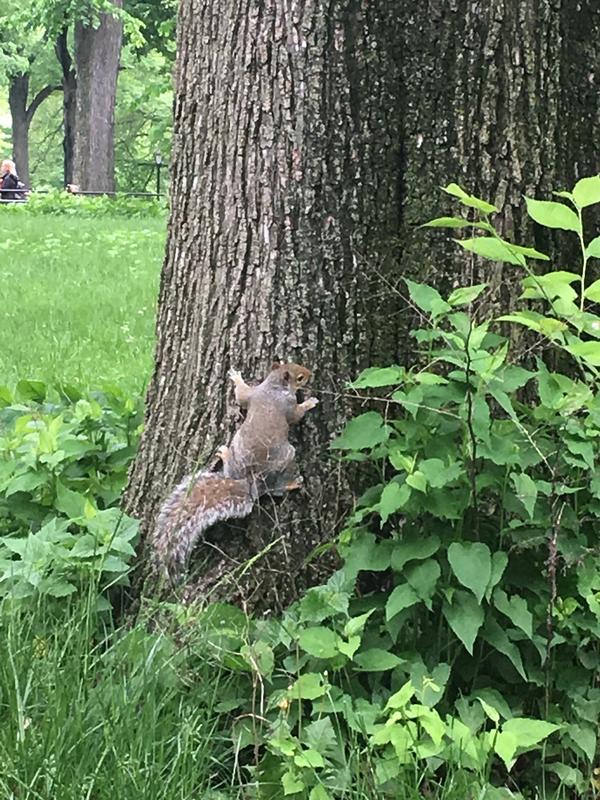 05AE7C53-1E0D-472A-9A0E-541A22DDB7C7