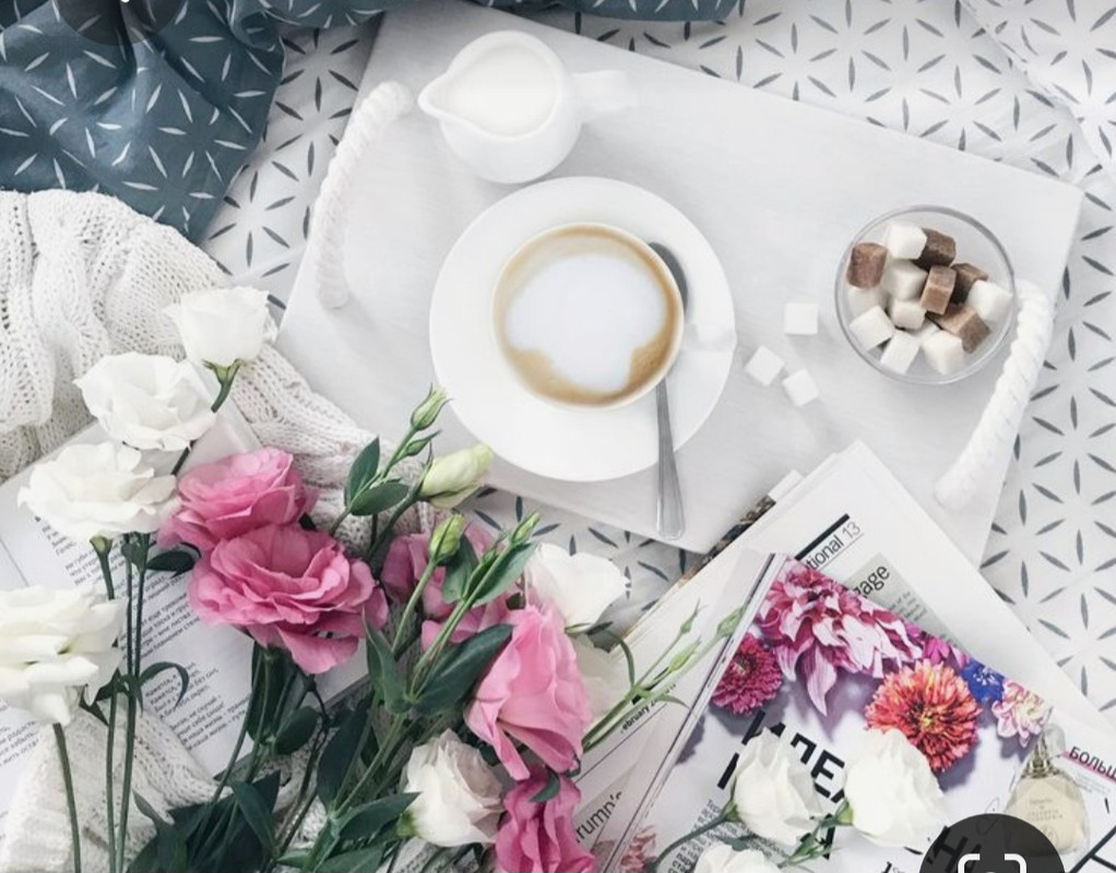 Screenshot_20230406_225403_Pinterest