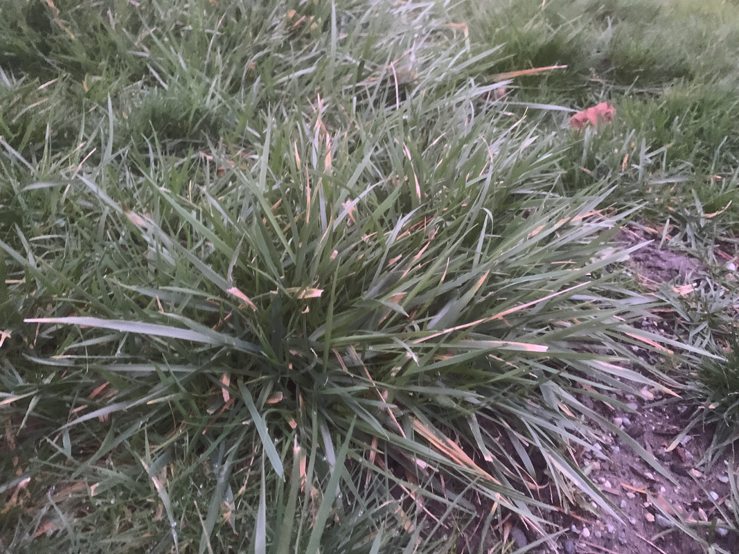 8F92E111-80F2-49F2-A640-2CAA1965A8BB