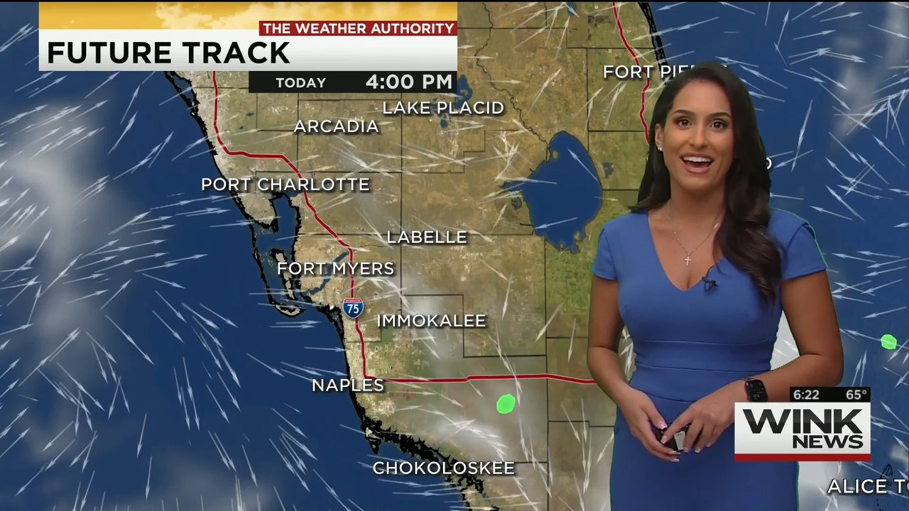 11.28 - 11.00.00 - WINK News This Morning..ts_snapshot_23.09.656