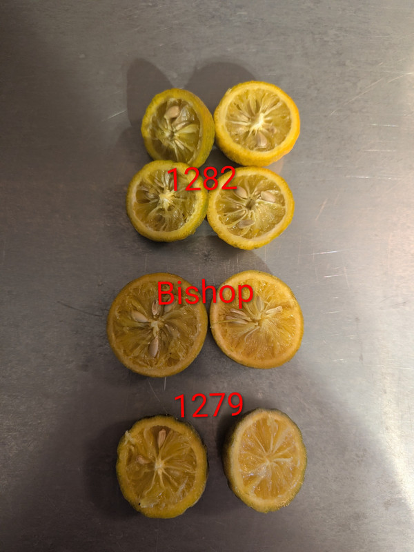 PXL 20251218 145007541 2