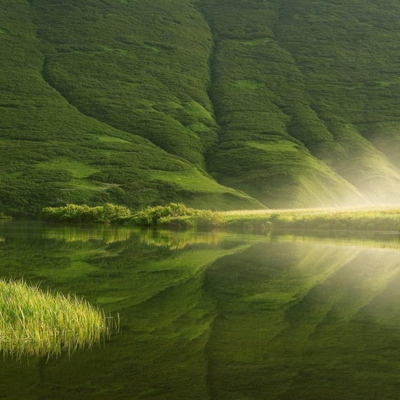 green-reflection.jpg