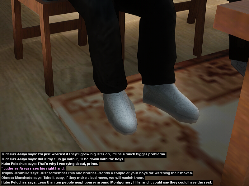 SS5.png