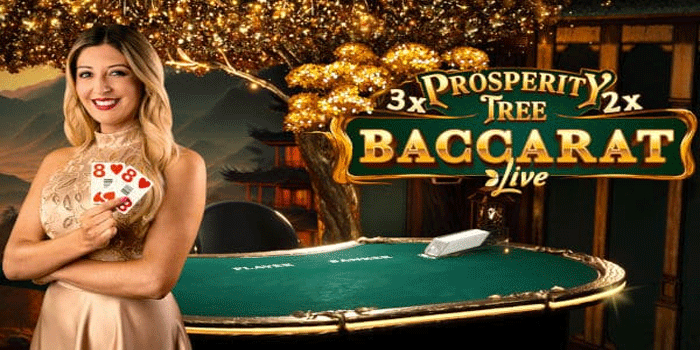 Cara Meningkatkan Peluang Menang Casino Prosperity Tree Baccarat