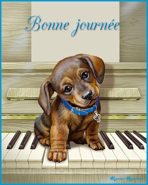 LUNDI 25 MARS 2019 JOURNEE-CHIOT-PIANO-F