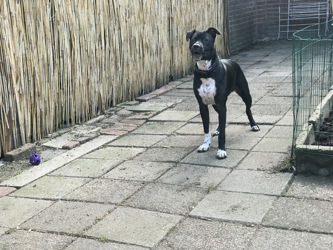 F2659C2E-D6D0-49CF-A57A-99BF378F4C65